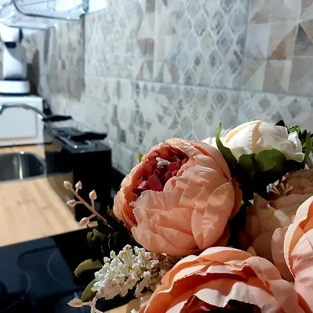 Callampa Apartment Torrejon el Rubio