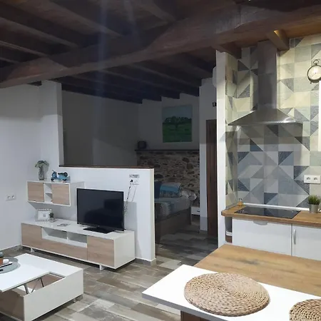 Callampa Torrejon el Rubio