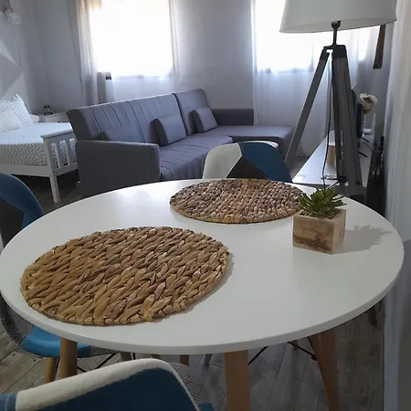 Callampa Torrejon el Rubio