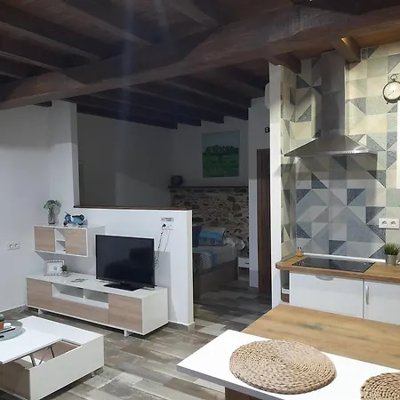 Callampa Torrejon el Rubio