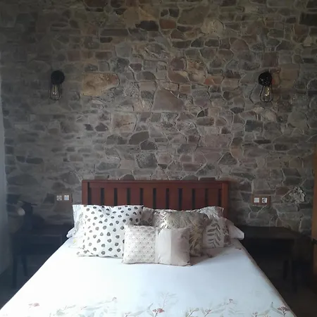 Apartment Callampa *