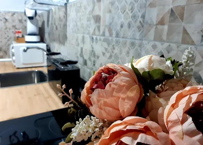 Callampa Apartamento Torrejón el Rubio